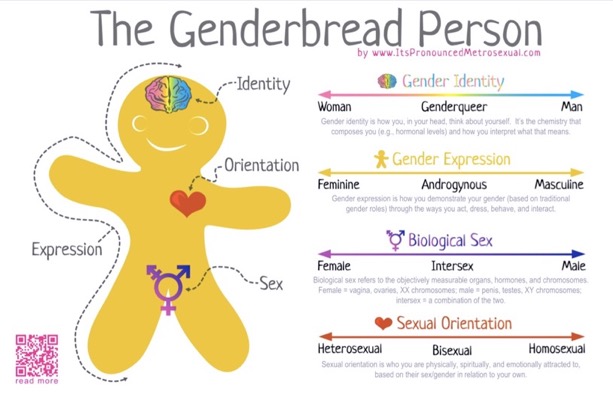 Wait, there are more than two&nbsp;genders?